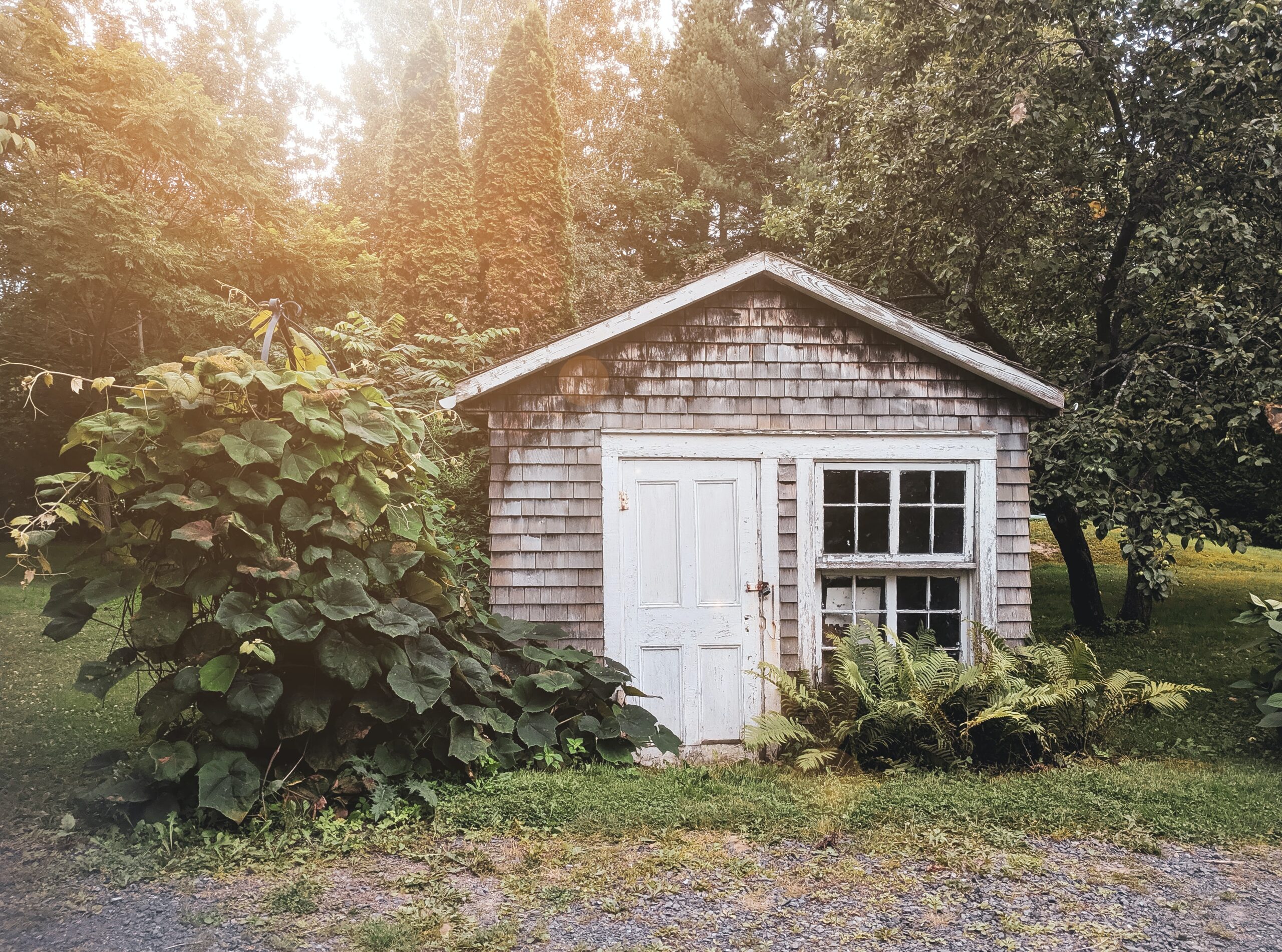 Guest house in the woods