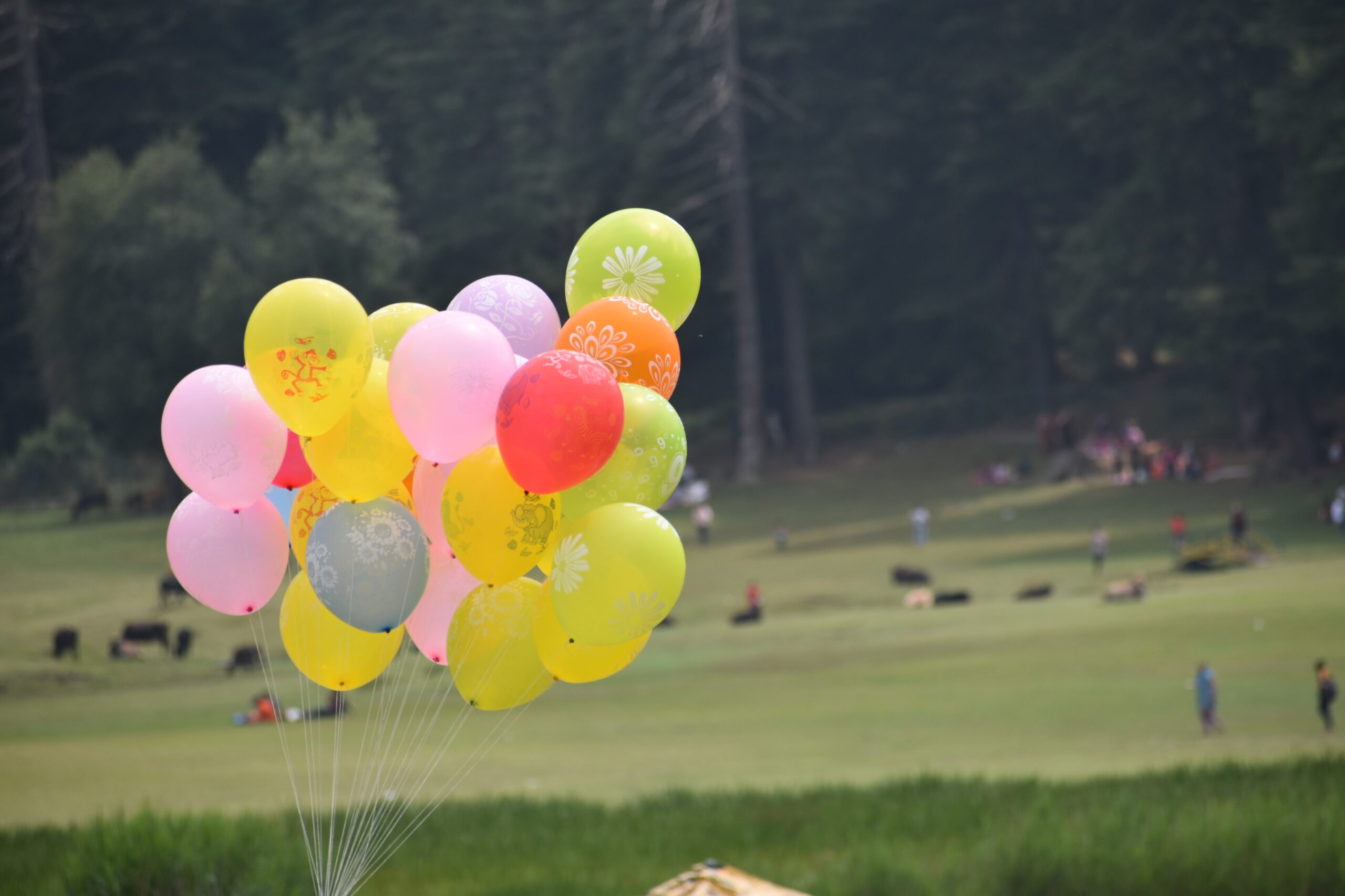 Large cluster of balloons in a park