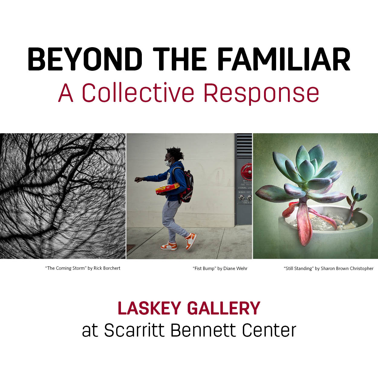 Beyond the Familiar: A Collective Response