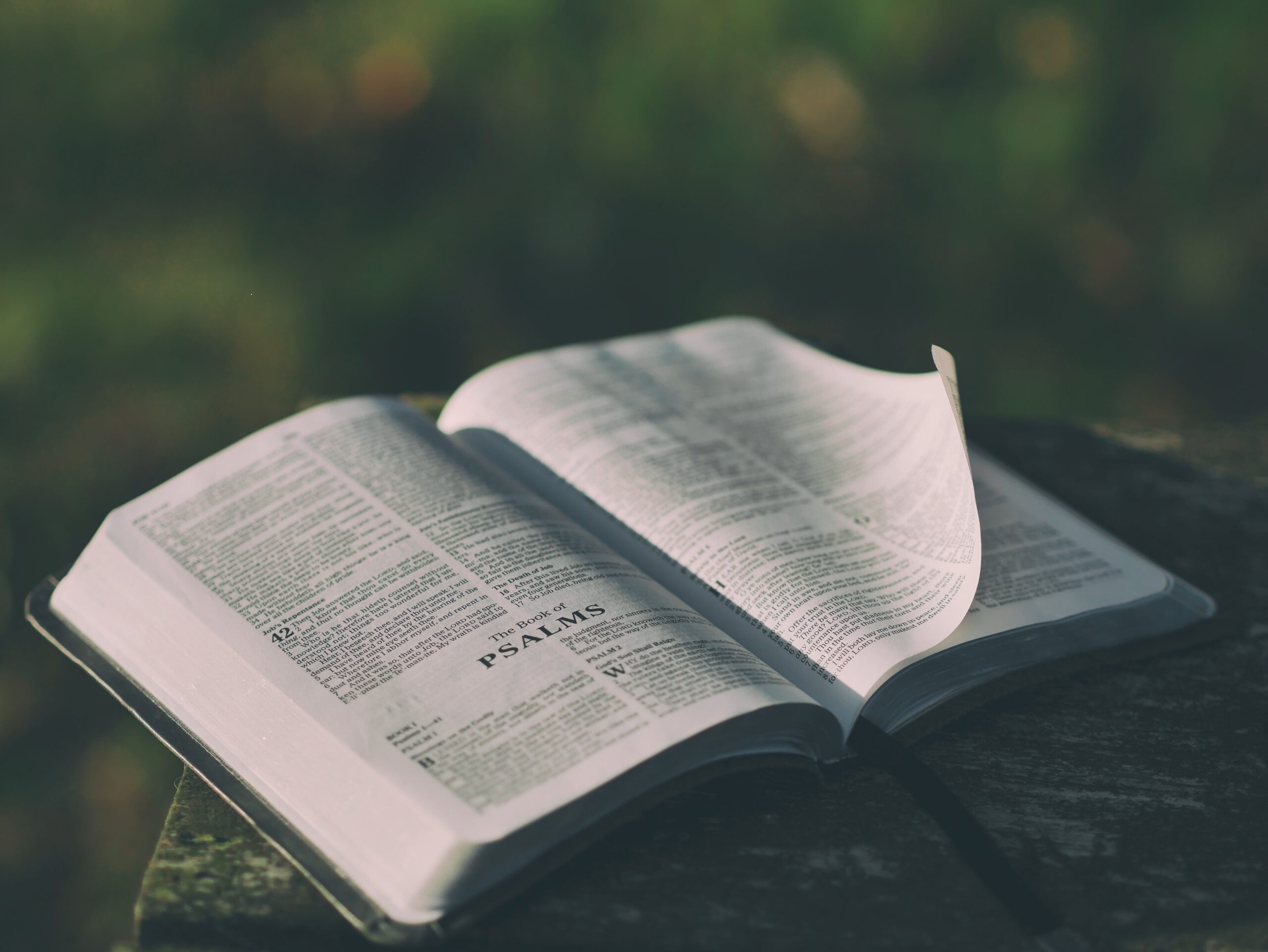 Photo of the Bible open to the first page of the Book of Psalms